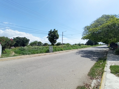 Imagen 5 de 10 de Terreno Venta Res. Palo Negro Casas, Canchas