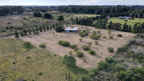 Chacra En Venta En Riachuelo, Colonia