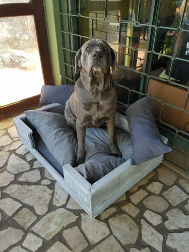 Cama Para Mascotas