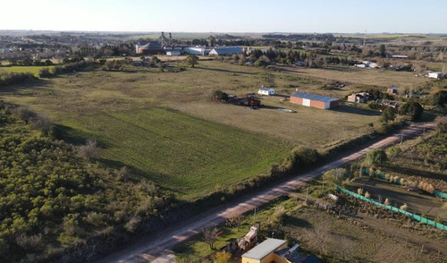 Imagen 4 de 8 de Amplio Terreno De 23x100 (2.446 M2) En Zona De Quintas, Cercano A Termas