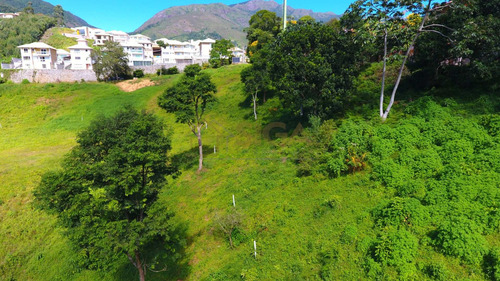 Imagem 2 de 15 de Lotes Exclusivos No Cônego - Lote 04 - 248