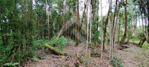 Parcela 5.000mt2 - Casa 5d 4b - 500mt2 - Puerto Varas