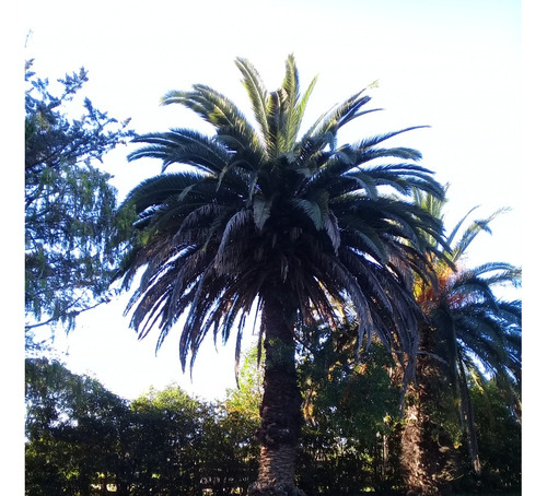 Oportunidad - Terreno A La Venta - Sobre Km26 De Ruta 6 - U$s199000