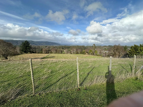 Terreno De 5000 M2 En Cañete, Tranquilidad Y Proyección