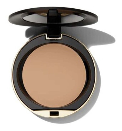 Polvo Conceal + Perfect Shine-proof Powder 04 Natural