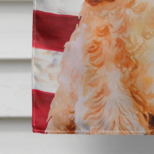 Caroline's Treasures Bb9706chf Cocker Spaniel Patriotic Hous