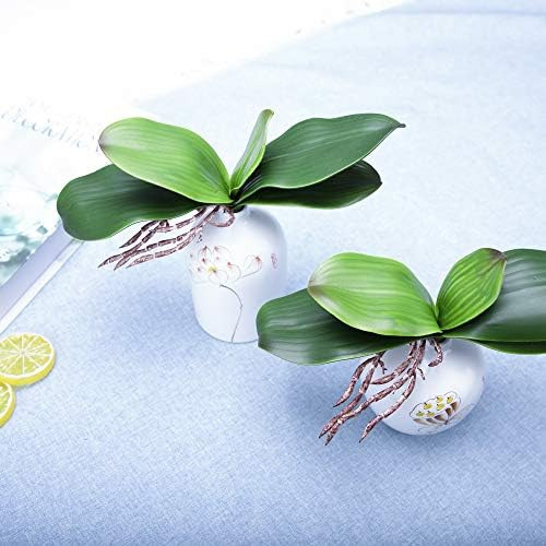 Hojas De Orquídea Fnize, 4 Pies Tallos De Phalaenopsis