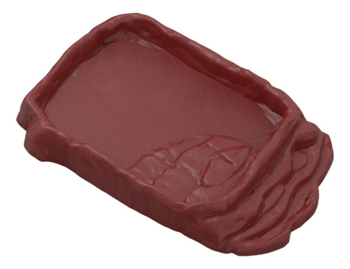 Alimentador De Tazón De Alimentos De Reptiles Anti Slip M