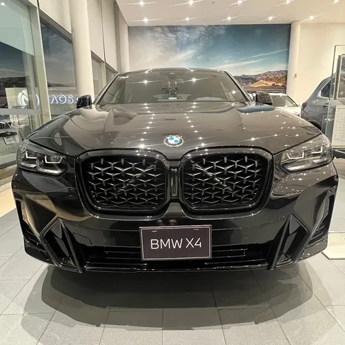 BMW X4 2.0 Xdrive30i