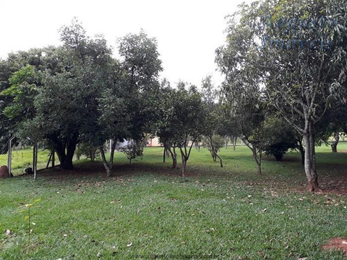 Imagem 16 de 29 de Chácaras À Venda Em Jarinú/sp - Compre O Seu Chácaras Aqui! - 1395119