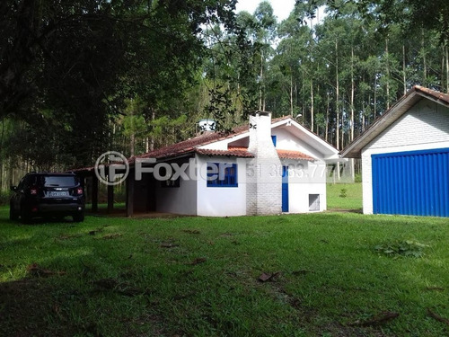 Imagem 3 de 6 de Fazenda / Sítio / Chácara, 259967 M², Coqueiros - 182458