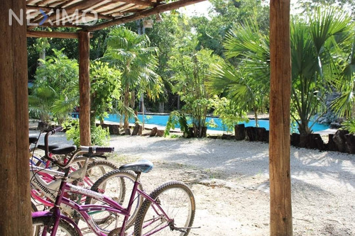 Imagen 8 de 13 de Terreno En Venta Ubicado En Leona Vicario, Puerto Morelos, Quintana Roo
