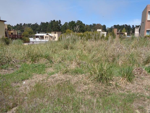 Lote Unifamiliar De 475 M2