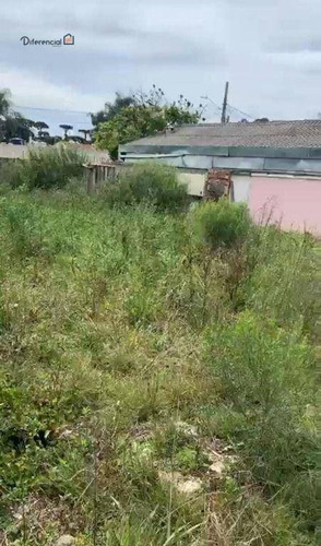 Imagem 7 de 8 de Terreno À Venda, 490 M² Por R$ 220.000,00 - Planta Bosque Centenário - Piraquara/pr - Te0146