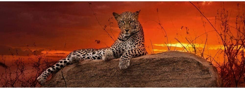 Rompecabezas Von Humboldt Leopardo Al Atardecer 2000 Piezas