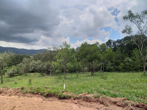 Imagem 6 de 8 de #v#h11- Lotes Para Construção De Fazenda