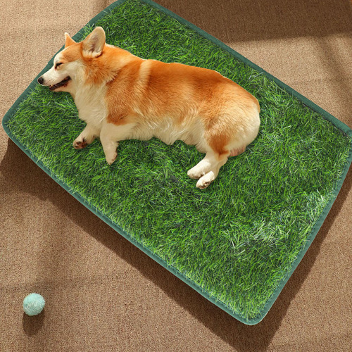 Alfombra De Césped Artificial Para Perros, Pradera, Interior