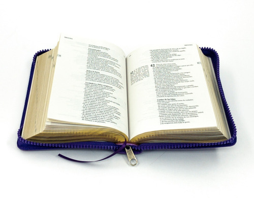 Imagen 2 de 3 de Nuestra Sagrada Biblia Católica Infantil