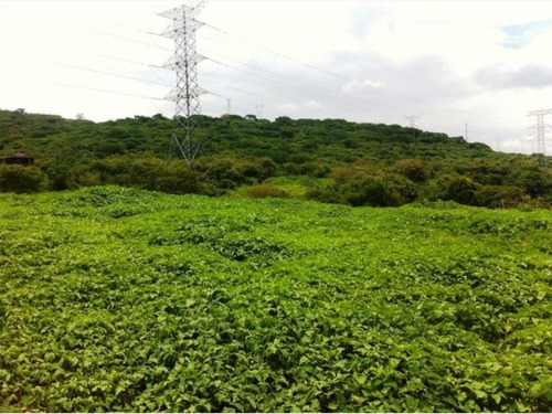 Venta Terreno Yautepec Inmejorable Ubicación Ideal Para Desarrolladores