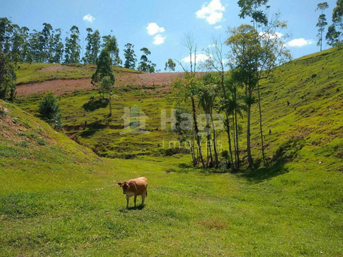 Imagem 2 de 16 de Terreno À Venda No Bairro Salto Águas Negras - Botuverá/sc - 2200t