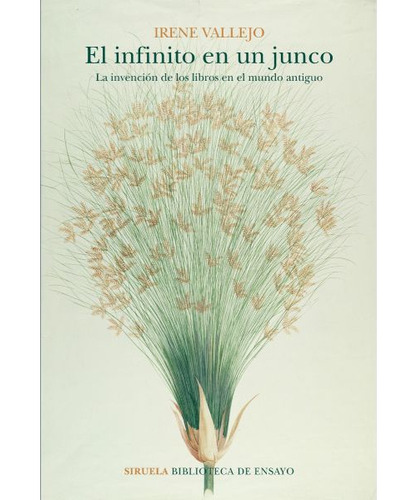 El Infinito En Un Junco / Irene Vallejo