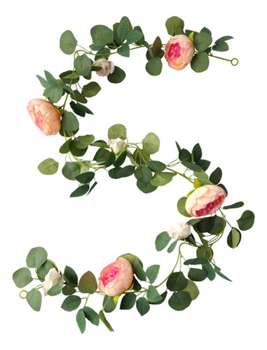Flores De Peonía, Enredaderas Colgantes, Enredaderas, Flor