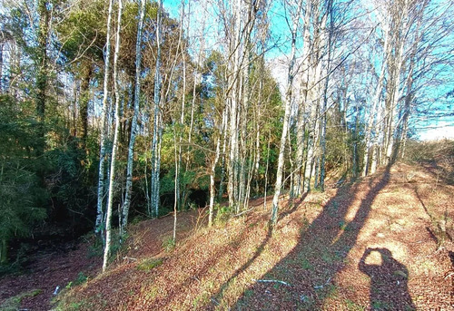 Panguipulli Venta De Lotes Sector Los Tayos