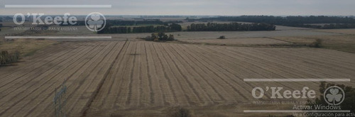 Imagen 4 de 29 de Chacra Agricola En Venta 32 Has- San Pedro