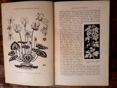 Book  Of Studies In Plant From And Design Illey Midgley 1895