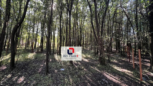 Lote En Villa Catalina