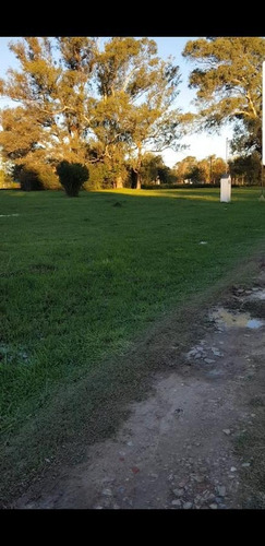 Imagen 5 de 5 de Terreno En Venta En San Vicente