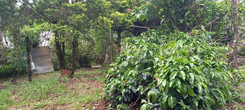 Imagem 14 de 15 de Chácara Para Venda Em São José Dos Pinhais, Área Rural De São José Dos Pinhais - Cha6607_1-2422868