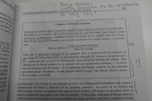 De King Kong A Einstein: La Física En La Ciencia Ficciónc195 (Usado)