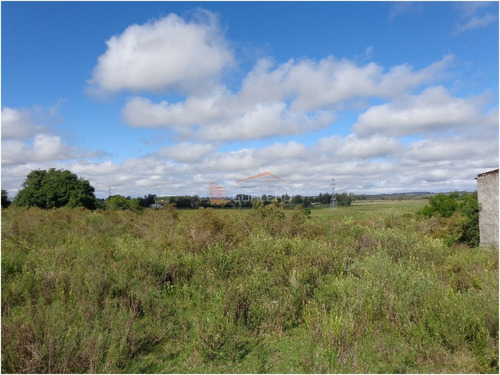 Chacra En Venta En Uruguay, Punta Del Este, Ruta 12, Las Vertientes- Ref: 21442