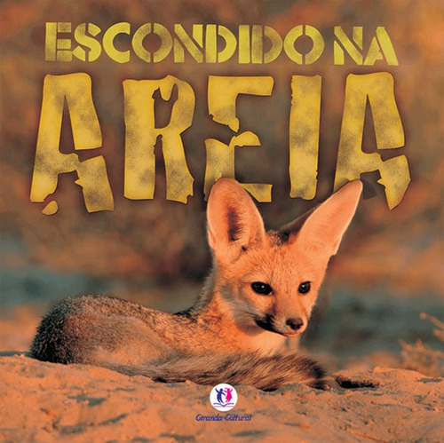 Escondido na areia, de Taylor, Barbara. Série Camuflagem Ciranda Cultural Editora E Distribuidora Ltda., capa mole em português, 2012