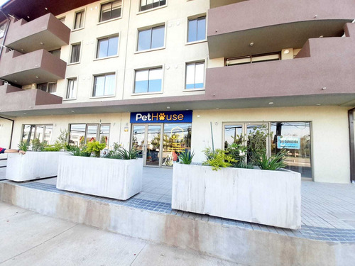 Invierte En Un Local Comercial (94446)