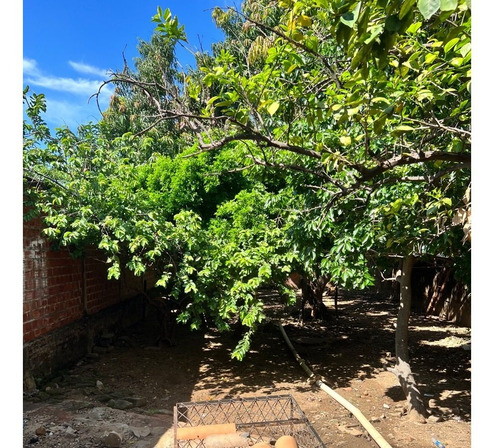 Vendo Casa Localizada No Centro De Elesbão Veloso Ao Lado Do Banco Do Brasil