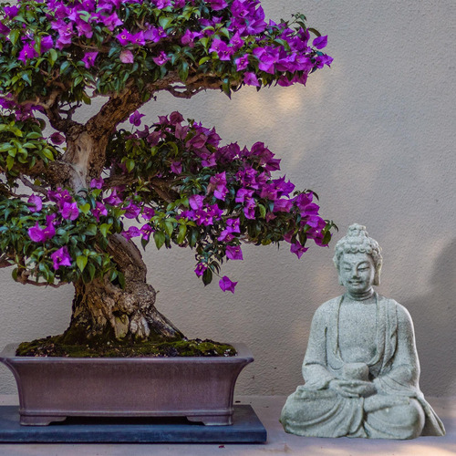 2 Mini Estatua De Buda Sentado Meditando Estatuilla De Buda