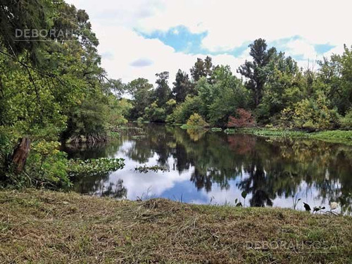 Imagen 20 de 25 de Lote A La Laguna - 758m2 - Puertos Del Lago- Barrio Acacias