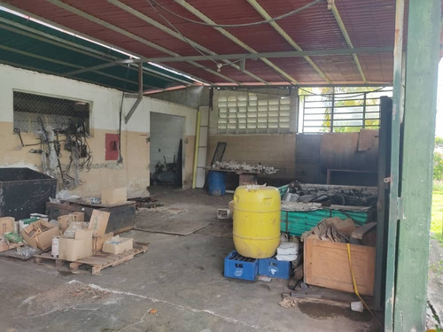 Imagen 6 de 14 de Vendo Finca San Felipe Dt