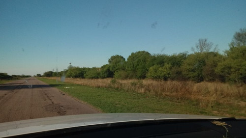 Imagen 2 de 7 de Venta Campo En Rio Hondo, Retasado, Santiago Del Estero.
