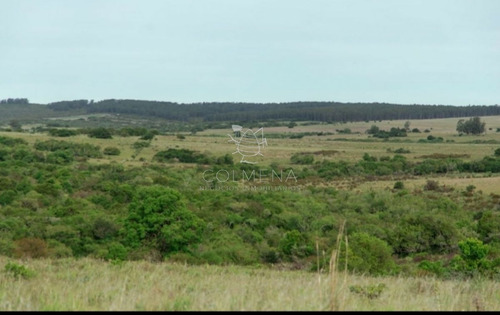 Imagen 8 de 29 de Campo En Jose Ignacio - Jose Ignacio
