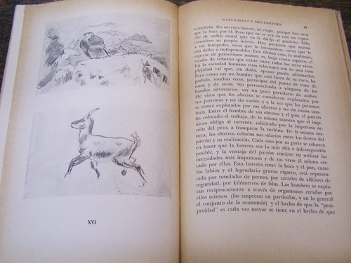 Naturaleza Y Mecanicismo * Roberto Hainard * Espasa Calpe *