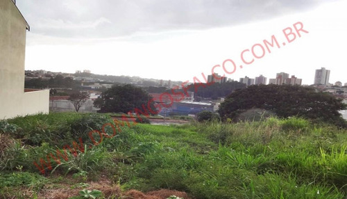 Imagem 12 de 13 de Venda - Terreno - Jardim São Domingos - Americana - Sp - D1313