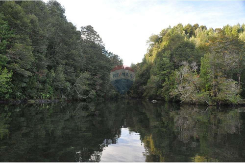 Paraíso: Predio Y/o Bosque Con Dos Islas Privadas