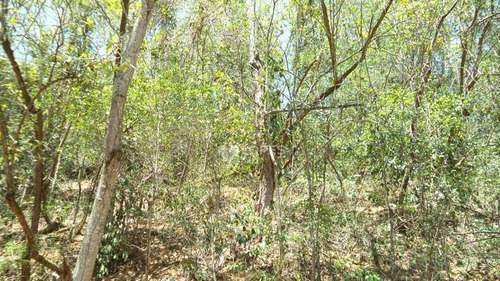 Imagem 3 de 4 de Terreno À Venda, 494 M² Por R$ 130.000,00 - Engenho Do Mato - Niterói/rj - Te3792