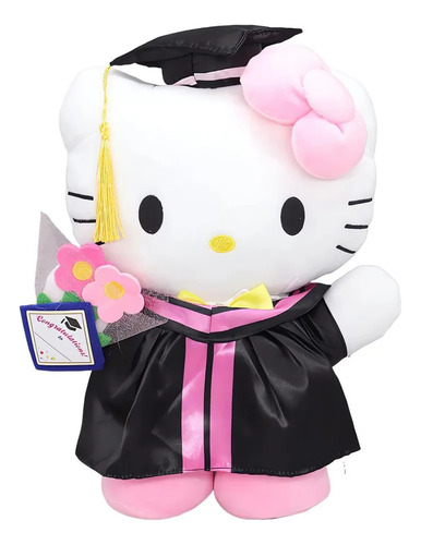 Regalo Graduación Juguete Peluche Graduación Gato Dibujos