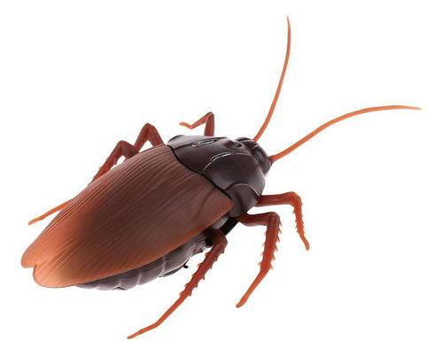 Simulação Engraçada Animal Barata Controle Remoto