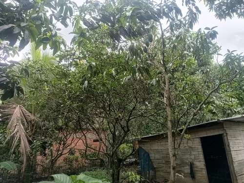 Finca De Descanso