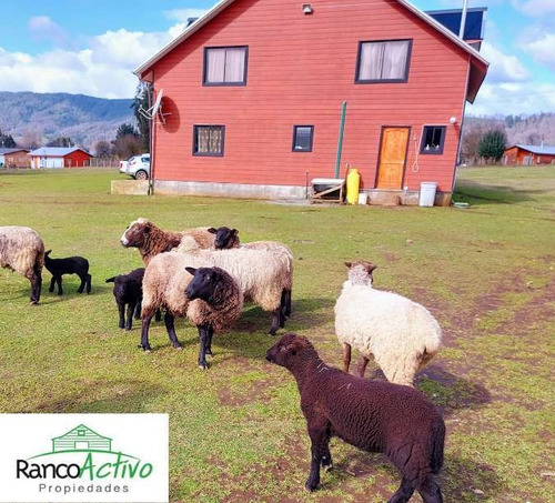 Parcela Tipo Granja